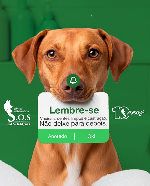 SOS Castração — Amor, dedicação e saúde preventiva para seu pet