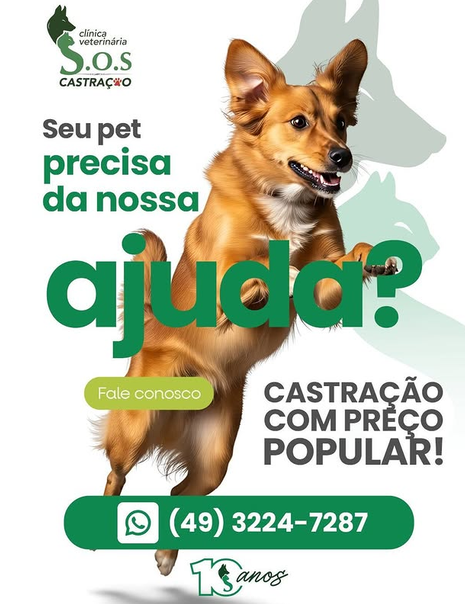 Castração a Preço Popular