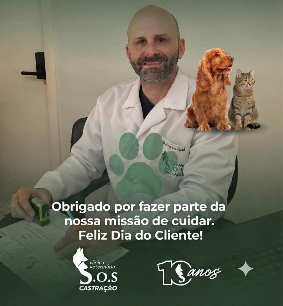 15 Anos Cuidando de Cães e Gatos